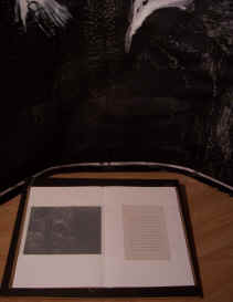 Photo of installation at Washington Gallery: a book